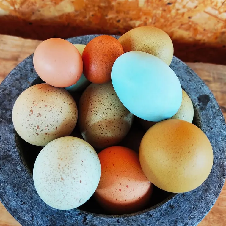 Huevos de colores dentro de un mortero de piedra