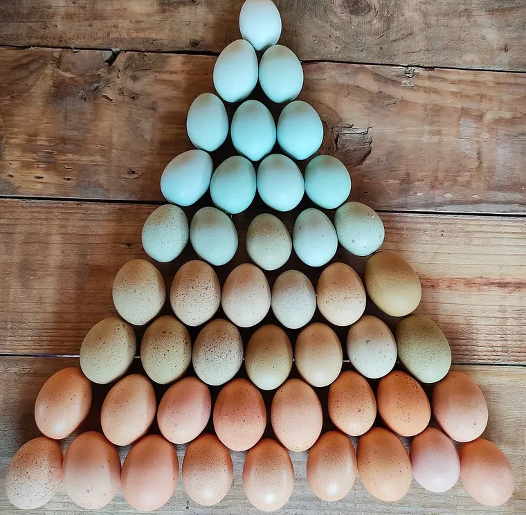 Pirámide de huevos que va del azul al colorado sobre madera