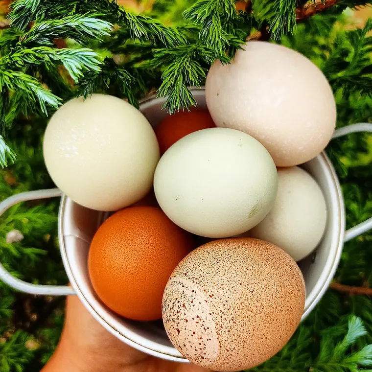 Tazón metálico con huevos de varios colores entre ramas verdes